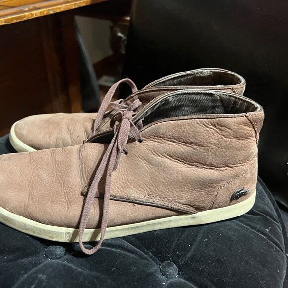 Magnificent Alligator Kicks like BOSS - Picture 6 of 7